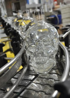 Skull1
