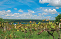Vinyard global trade new york economic development trade international business cargo shipping logistics